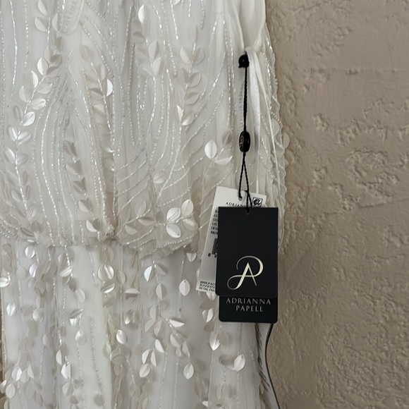 Adrianna Papell Embellished Blouson Dress in Ivory - Picture 5 of 11